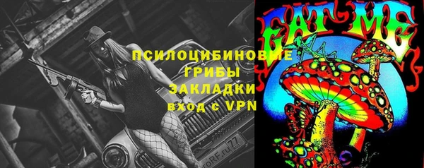 эйфоретик Арсеньев