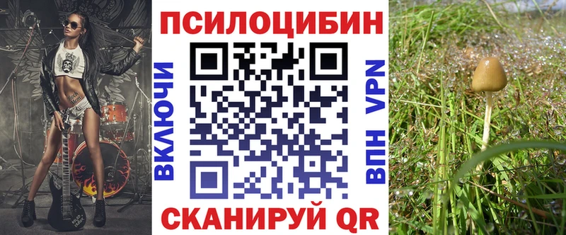 Псилоцибиновые грибы мицелий Чердынь